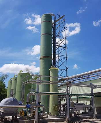 Biogas Desulphurization System